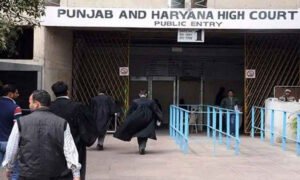 Punjab & Haryana High Court Grants Protection To Muslim Woman Who Converted To Hinduism To Marry Hindu Man - The Law Communicants
