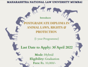 Post Graduate Diploma in Animal Laws, Rights and Protection by MNLU