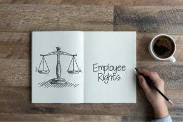 PwD-Act-Alternate-Employment-With-Same-Pay-Benefits-To-Employee-Who-Suffers-Disability-During-Course-Of-Employment-A-Statutory-Right-Andhra-HC-The-Law-Communicants