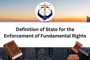 Definition of State for the Enforcement of Fundamental Rights