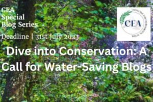 Dive into Conservation