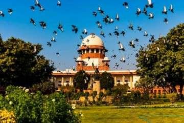 In-Disciplinary-Proceeding-the-Burden-Of-Proof-Depends-On-Nature-Of-Charge-And-Explanation-Put-Forward-By-Employee-Supreme-Court-The-Law-Communicants