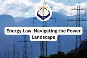 Energy Law Navigating the Power Landscape