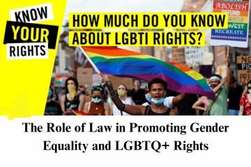 The Role of Law in Promoting Gender Equality and LGBTQ+ Rights