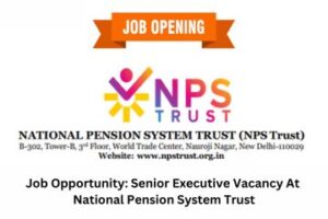 Job Opportunity Senior Executive Vacancy At National Pension System Trust
