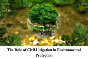 The Role of Civil Litigation in Environmental Protection
