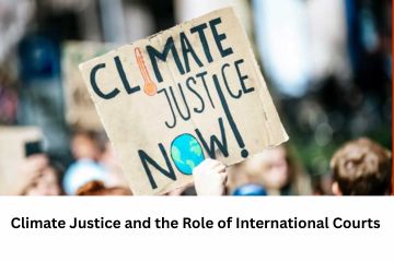 Climate Justice and the Role of International Courts