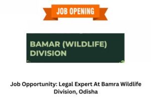 Job Opportunity: Legal Expert At Bamra Wildlife Division, Odisha