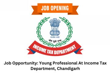 Job Opportunity: Young Professional At Income Tax Department, Chandigarh