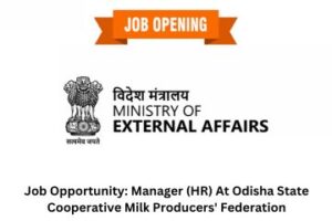 Job Opportunity: Consultant At Ministry Of External Affairs, New Delhi